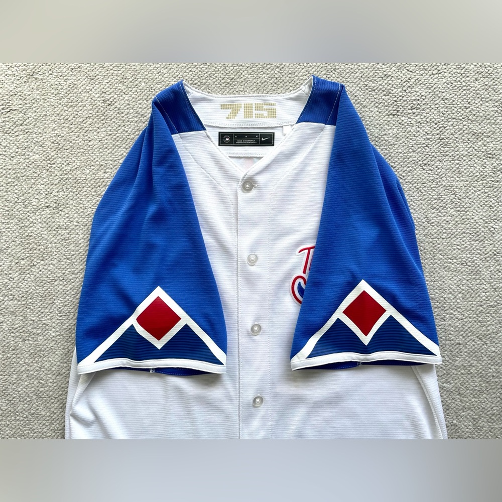 Nike Atlanta Braves City Connect Ronald Acuña Jr Limited Edition Baseball Jersey - Picture 7 of 9